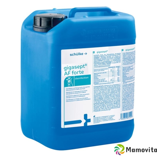 Gigasept Af Forte Kanister 5L buy online