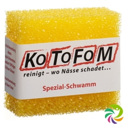 Kotofom Schwamm Gr II