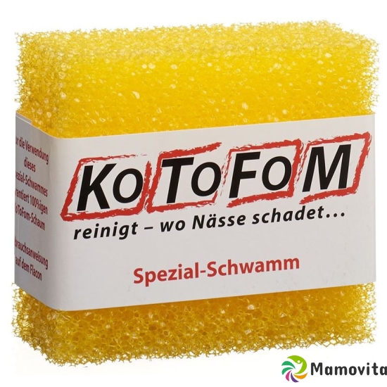 Kotofom Schwamm Gr II buy online