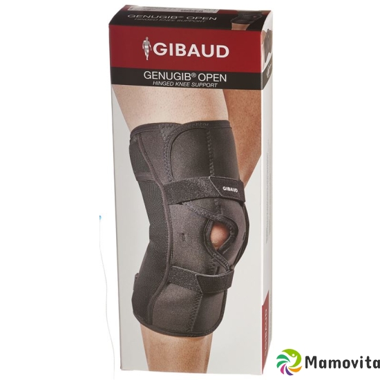 Gibaud Genugib Open 37-40cm buy online