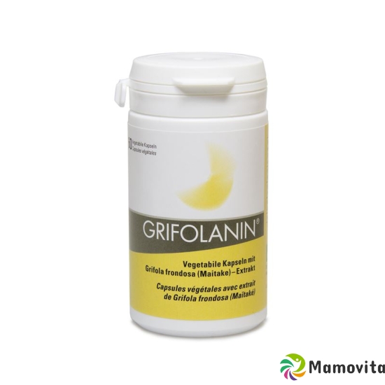 Grifolanin Vital Pilzextrakt 60 Kapseln buy online