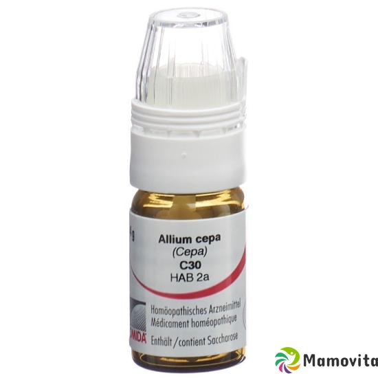 Omida Allium Cepa Globuli C 30 M Dosierhilfe 4g buy online