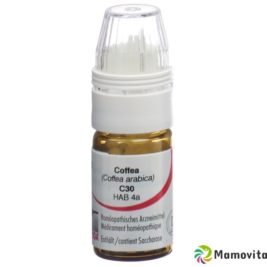 Omida Coffea Globuli C 30 M Dosierhilfe 4g buy online