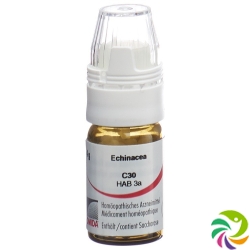 Omida Echinacea Globuli C 30 M Dosierhilfe 4g