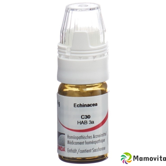 Omida Echinacea Globuli C 30 M Dosierhilfe 4g buy online