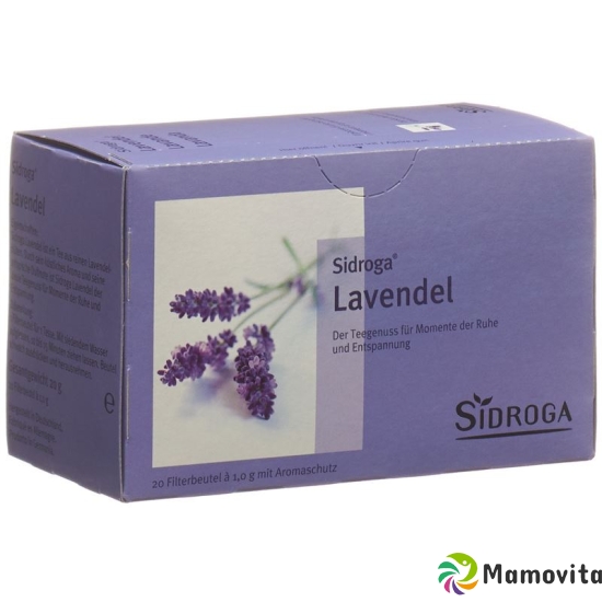 Sidroga Lavender tea bag 20 pieces buy online