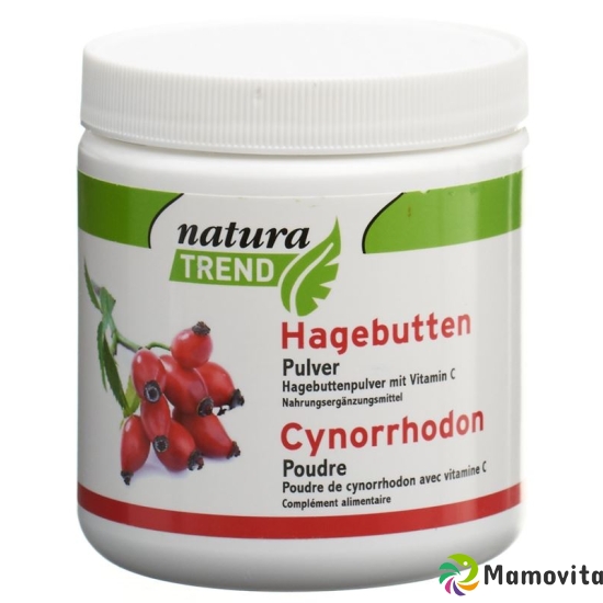 Naturatrend Hagebutten Pulver 300g buy online