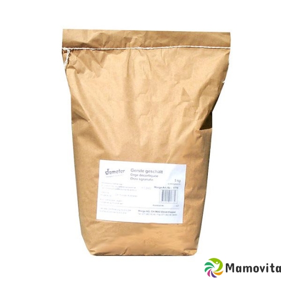 Holle Gersten Bio 5kg buy online