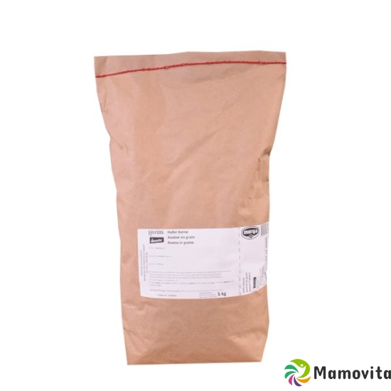 Holle Hafer Bio Ganz 5kg buy online