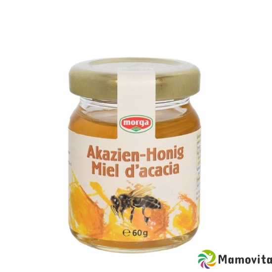 Morga Akazien-Honig Midget 60g buy online