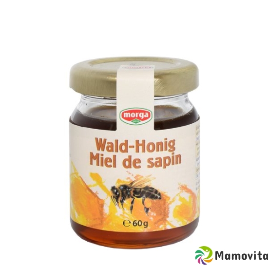 Morga Wald-Honig Midget 60g buy online