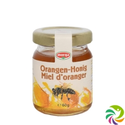 Morga Midget Orange Honey