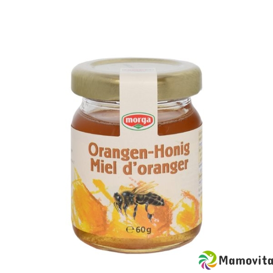 Morga Midget Orange Honey buy online