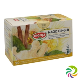 Morga Magic Ginger Tee mit Hülle Beutel 20 Stück