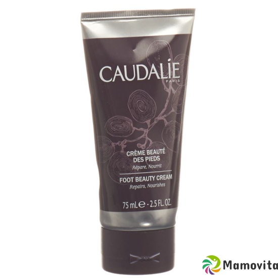 Caudalie Fusscreme 75ml buy online