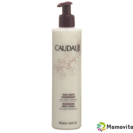 Caudalie Vinotherapie Soin Nourrissant 250ml buy online