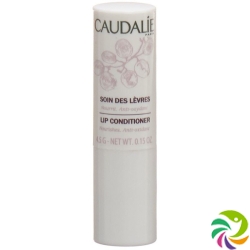 Caudalie Pulpe Vitaminée Soin Des Levres 4g