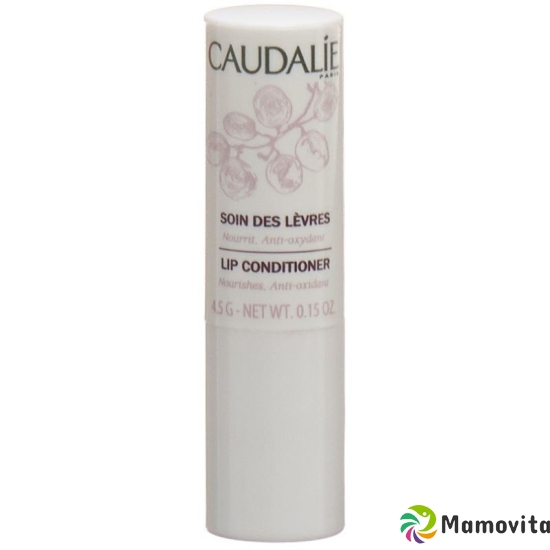 Caudalie Pulpe Vitaminée Soin Des Levres 4g buy online