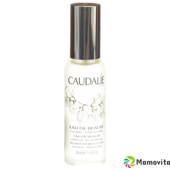 Caudalie Demaquillante Eau De Beaute 30ml buy online