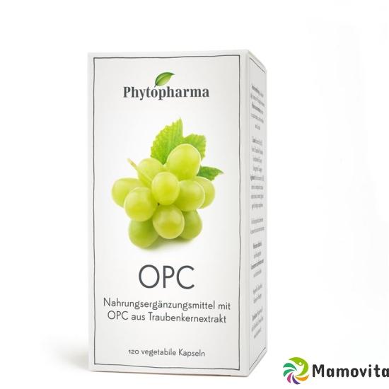 Phytopharma Opc Kapseln 95mg 120 Stück buy online