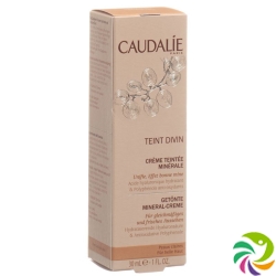 Caudalie Solaires Teint Divin Creme Teint Clair 30ml