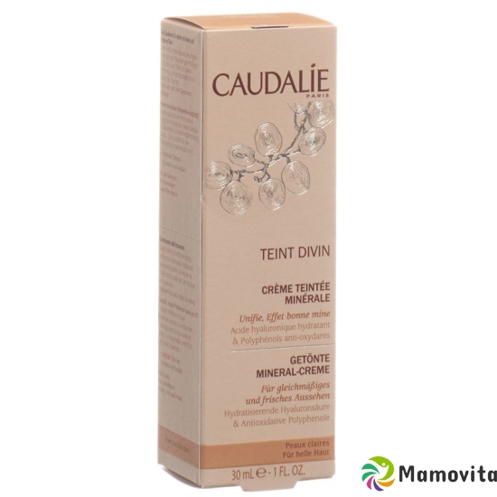 Caudalie Solaires Teint Divin Creme Teint Clair 30ml buy online