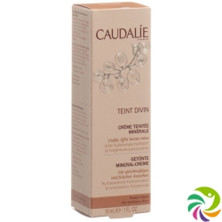 Caudalie Solaires Teint Divin Creme Teint Mates 30ml