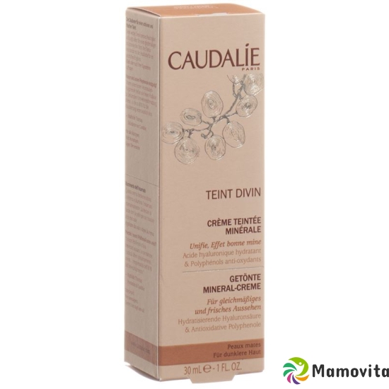 Caudalie Solaires Teint Divin Creme Teint Mates 30ml buy online