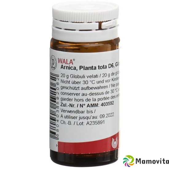 Wala Arnica E Planta Tota Globuli D 6 Flasche 20g buy online