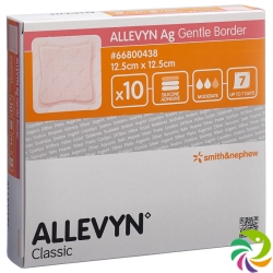 Allevyn Ag Gentle Border Wundverband 12.5x12.5cm 10 Stück