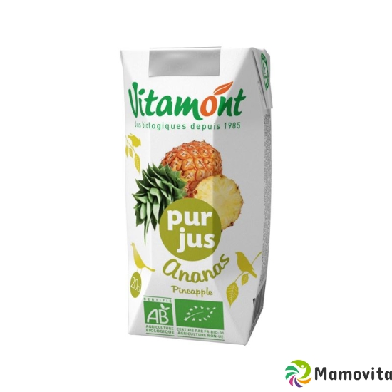 Vitamont Reiner Ananassaft 6x 20cl buy online