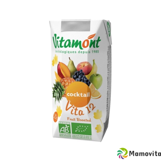 Vitamont Reiner Cocktail Vita 12 6x 20cl buy online