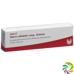 Wala Silicea Colloidalis Comp Gel Tube 30g