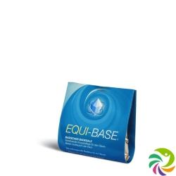 Equi-Base Basisches Badesalz Beutel 80g