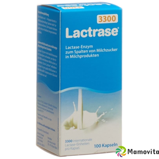 Lactrase Kapseln 100 Stück buy online