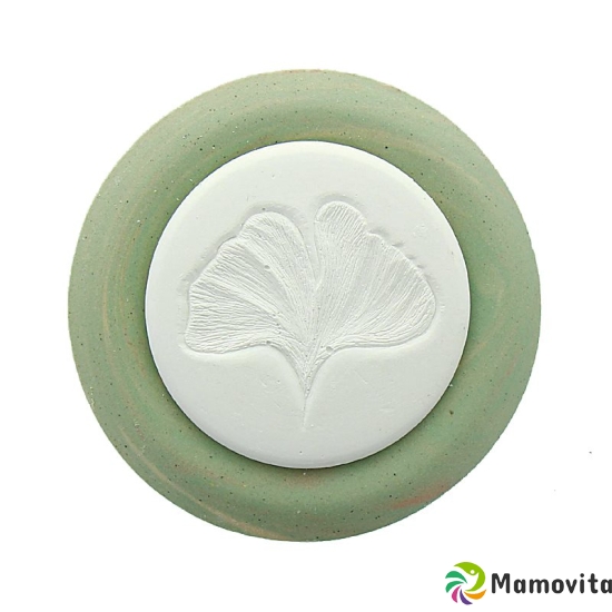 Herboristeria Scented Stone Gingko Plate Light Green buy online