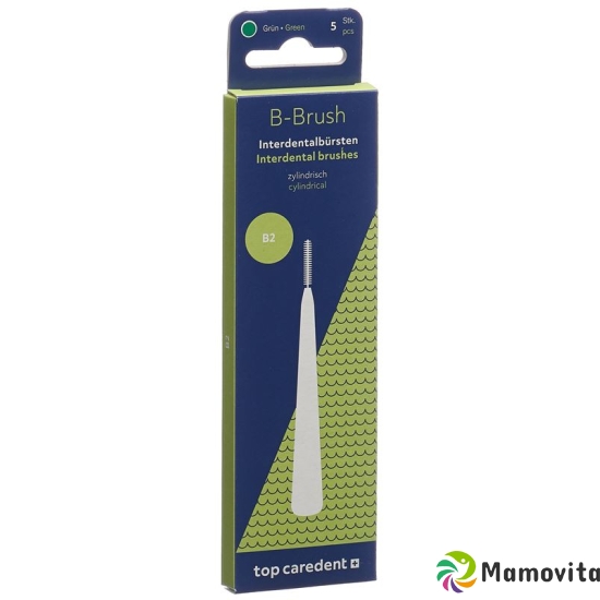 Caredent InterDentalBürste mit Griff IDBG-G 3mm 5 Stück buy online