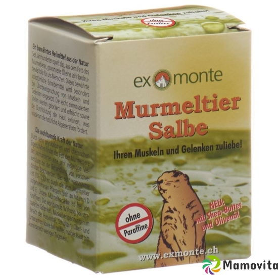 Exmonte Murmeltier Salbe Topf 100ml buy online