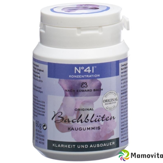 Dr. Bach Kaugummi für Konzentration Dose 60g buy online