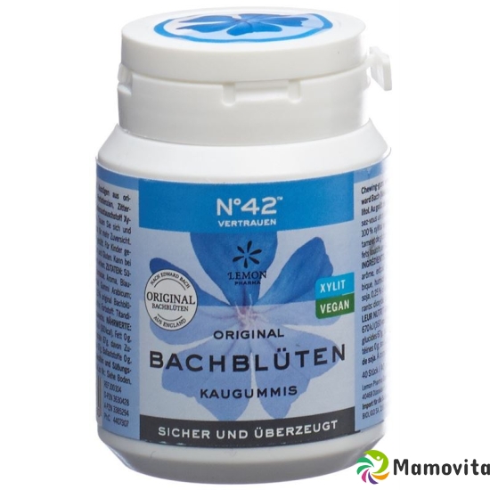 Dr. Bach Kaugummi für Selbstvertrauen Dose 60g buy online