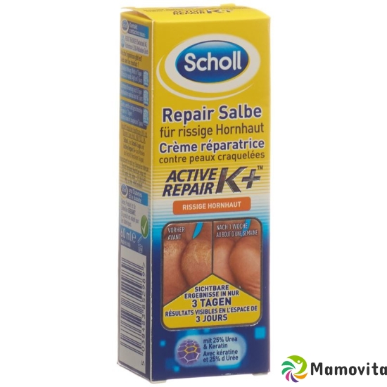 Scholl Repair Salbe rissige Hornhaut 60ml buy online