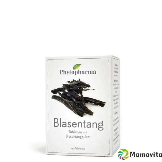 Phytopharma Blasentang Tabletten 120 Stück buy online