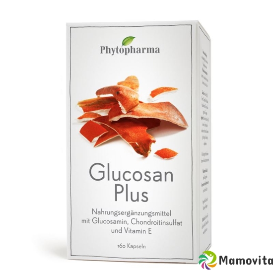 Phytopharma Glucosan Plus Kapseln 160 Stück buy online