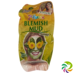 Montagne Jeunesse Schlammaske Reinigend 20g