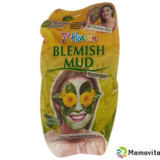 Montagne Jeunesse Schlammaske Reinigend 20g buy online