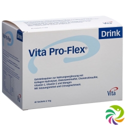 Vita Pro-Flex DRINK 40 Beutel