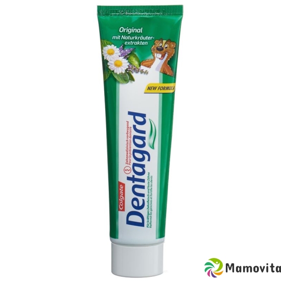 Dentagard Zahnpasta Tube 100ml buy online