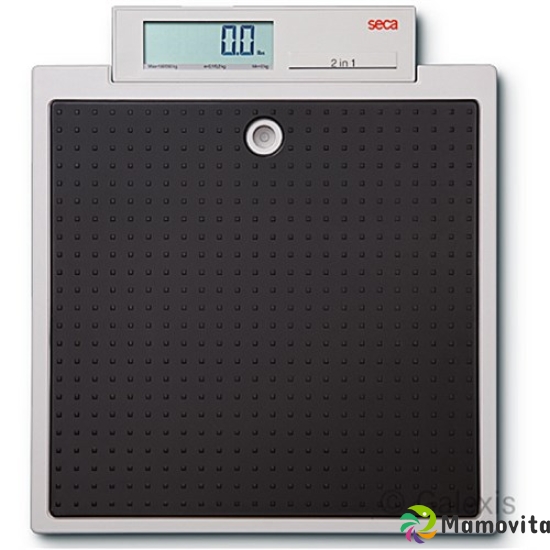 Seca floor flat scale 876 buy online