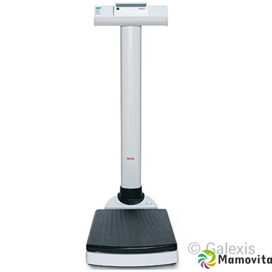 Seca column scales with Lcd display 704 buy online