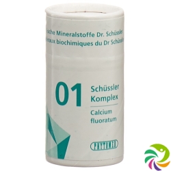 Phytomed Schüssler Komplex No 1 Tabletten Dose 300 Stück